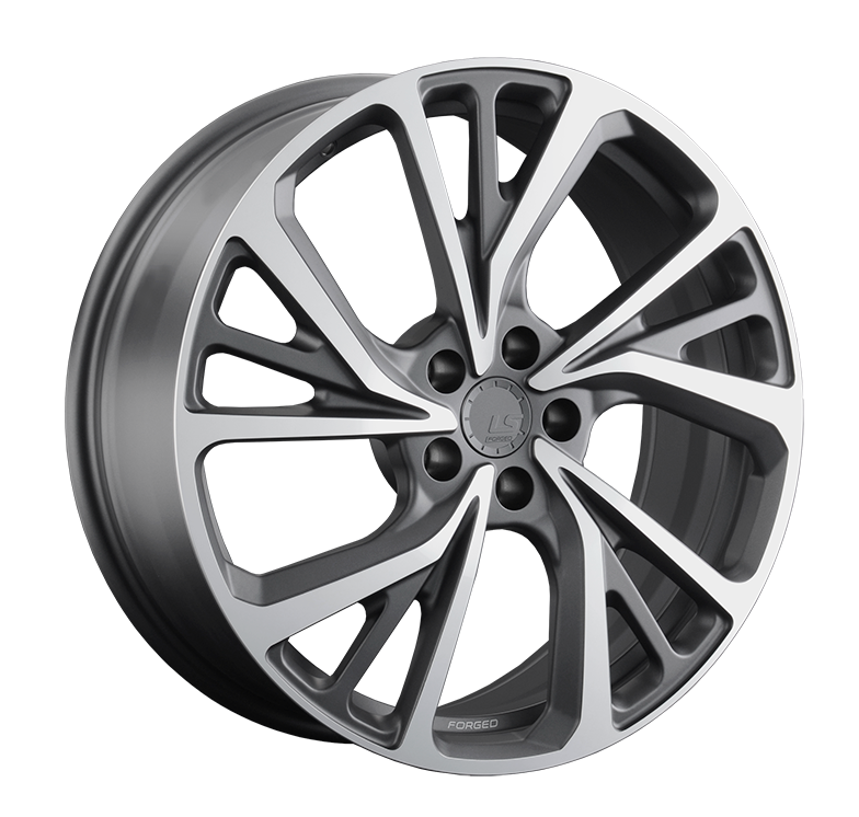 LS FORGED LS FG22