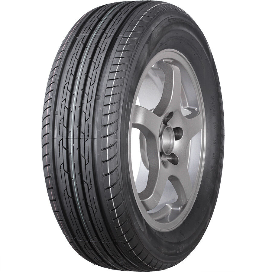 TRIANGLE TE301 225/65